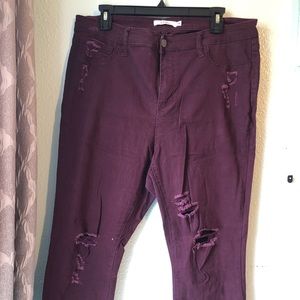 Maroon distressed Cello Jeans